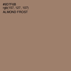#9D7F6B - Almond Frost Color Image